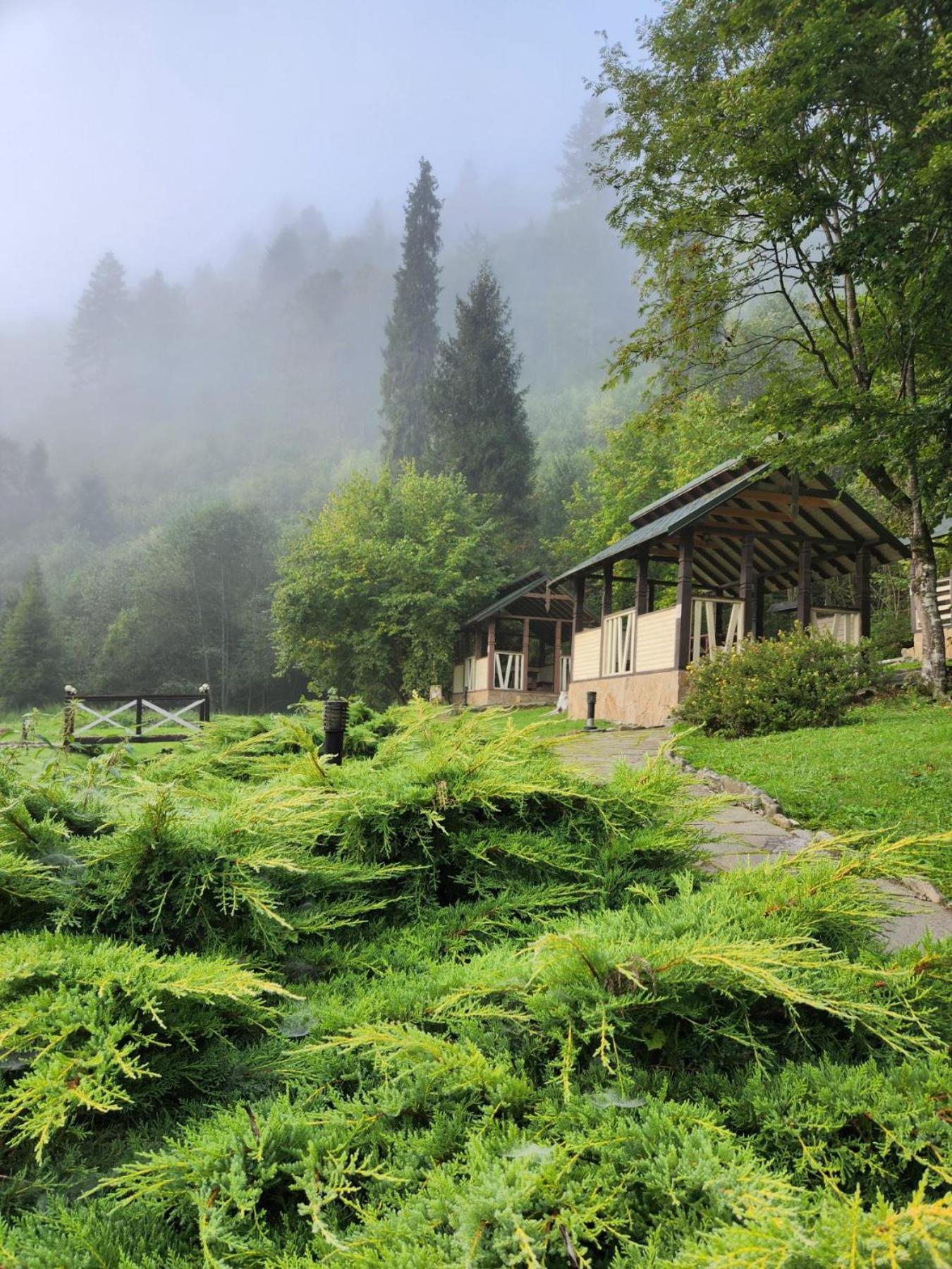 Tsarynka Eco Complex Hotel Славске Екстериор снимка